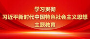 穴淫逼学习贯彻习近平新时代中国特色社会主义思想主题教育_fororder_ad-371X160(2)